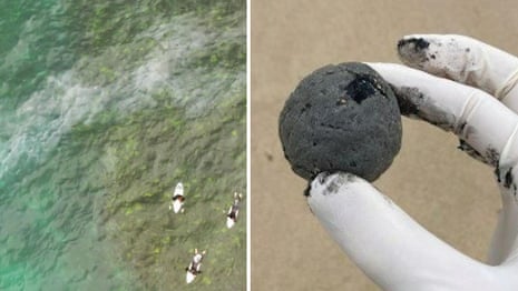 Coogee beach suspected oil slick: beachgoers warned after black balls wash ashore – video